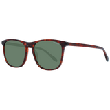 Hackett Sunglasses HSK3335 123 55